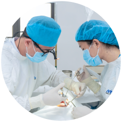 Dịch vụ trồng răng implant tại nha khoa I-Dent.