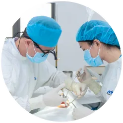 Dịch vụ trồng răng implant tại nha khoa I-Dent.