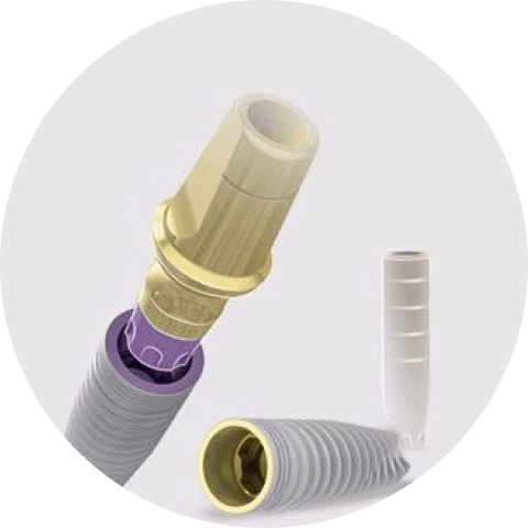 Trụ IMPLANT MIS C1