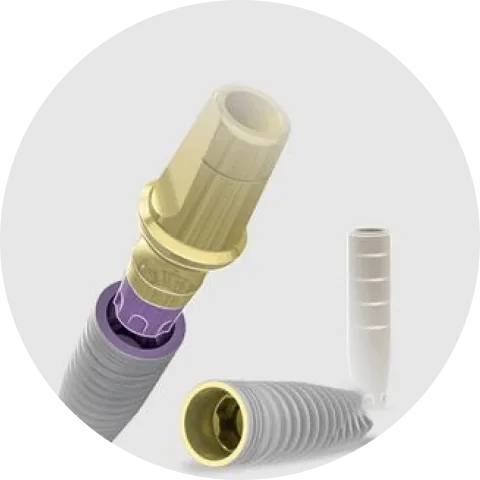 Trụ IMPLANT MIS C1