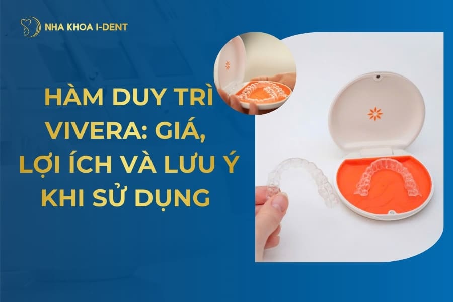 hàm duy trì vivera
